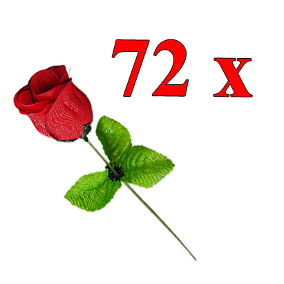  72 Stück Rote  Rosen - ...