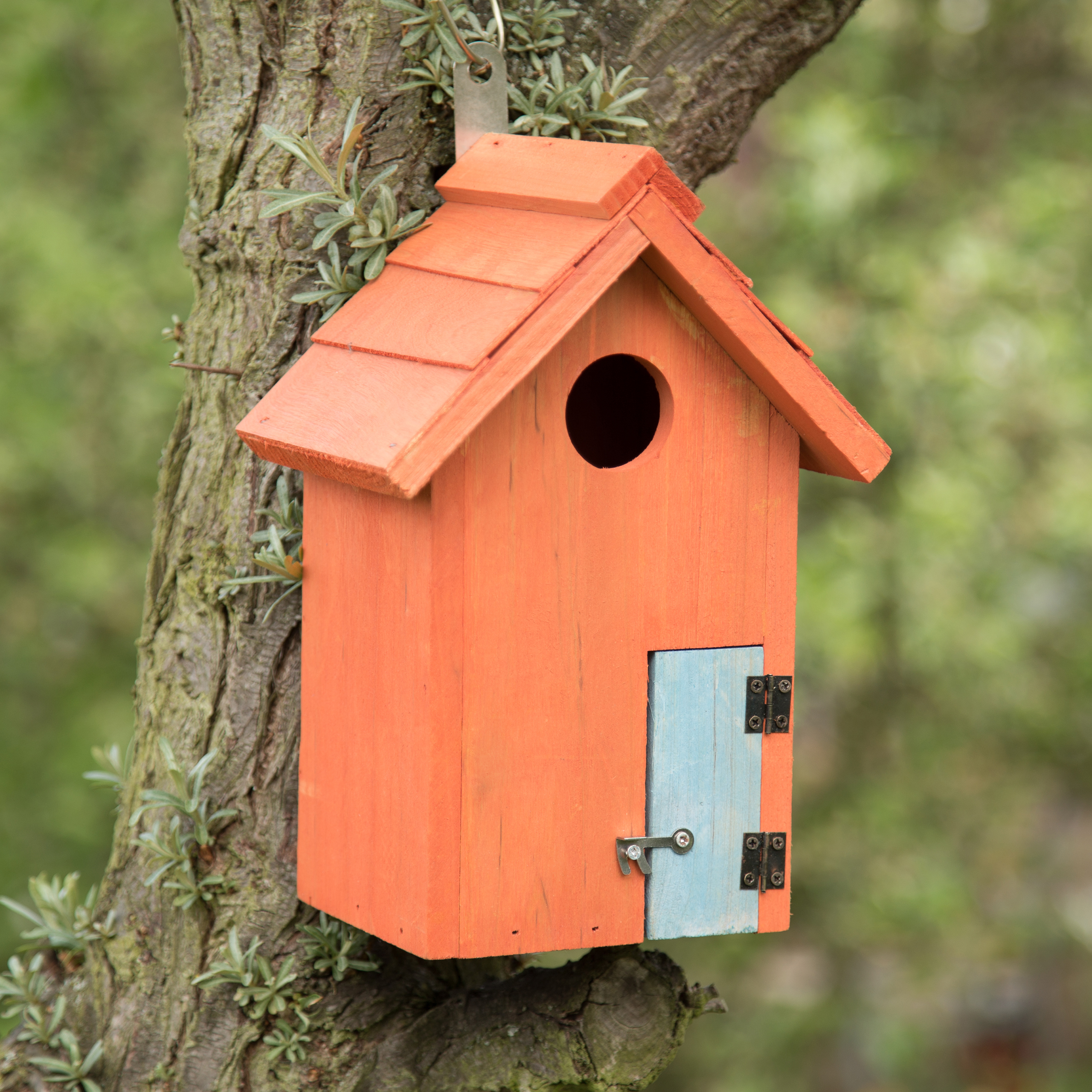 Vogelhaus Nistkasten aus Holz in Häuschenform mit Tür für Kleinvögel farbig