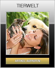 Tierwelt
