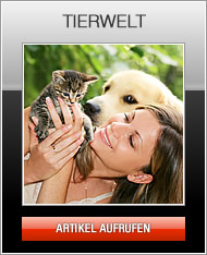 Tierwelt