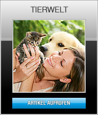 Tierwelt