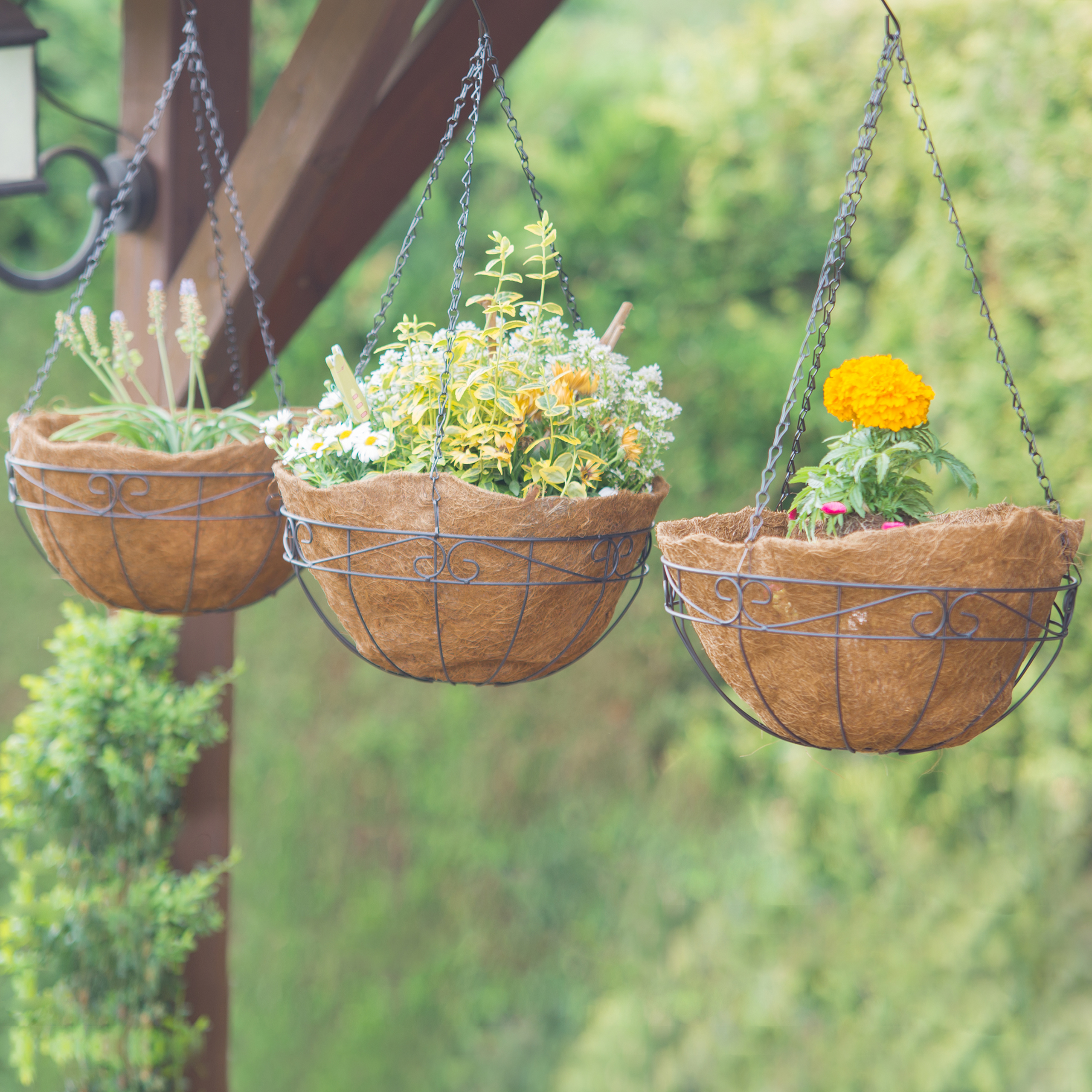 Blumenampel Aus Stahl Mit Lederriemen - Stylische Hängeampel Für Zimmerpflanzen