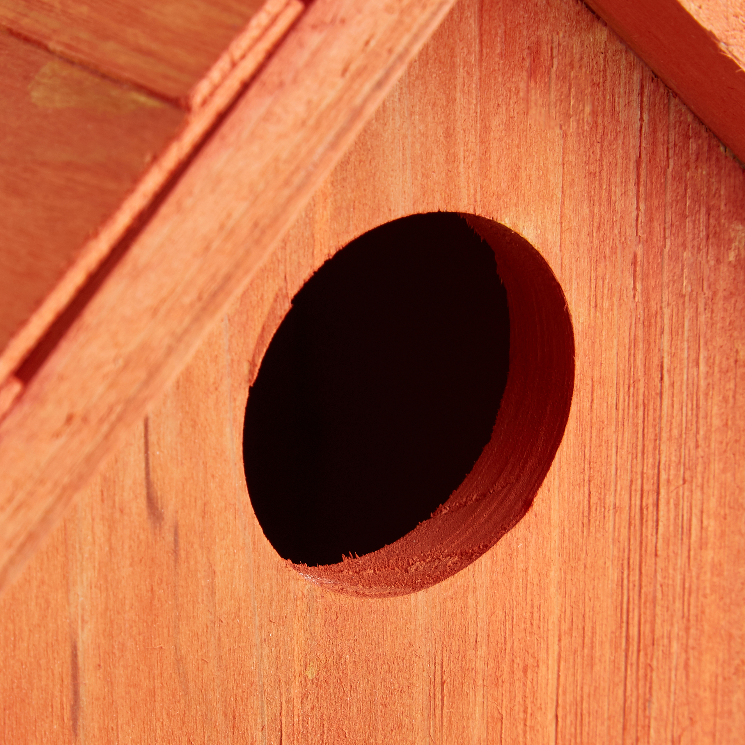 Vogelhaus Nistkasten aus Holz in Häuschenform mit Tür für Kleinvögel farbig
