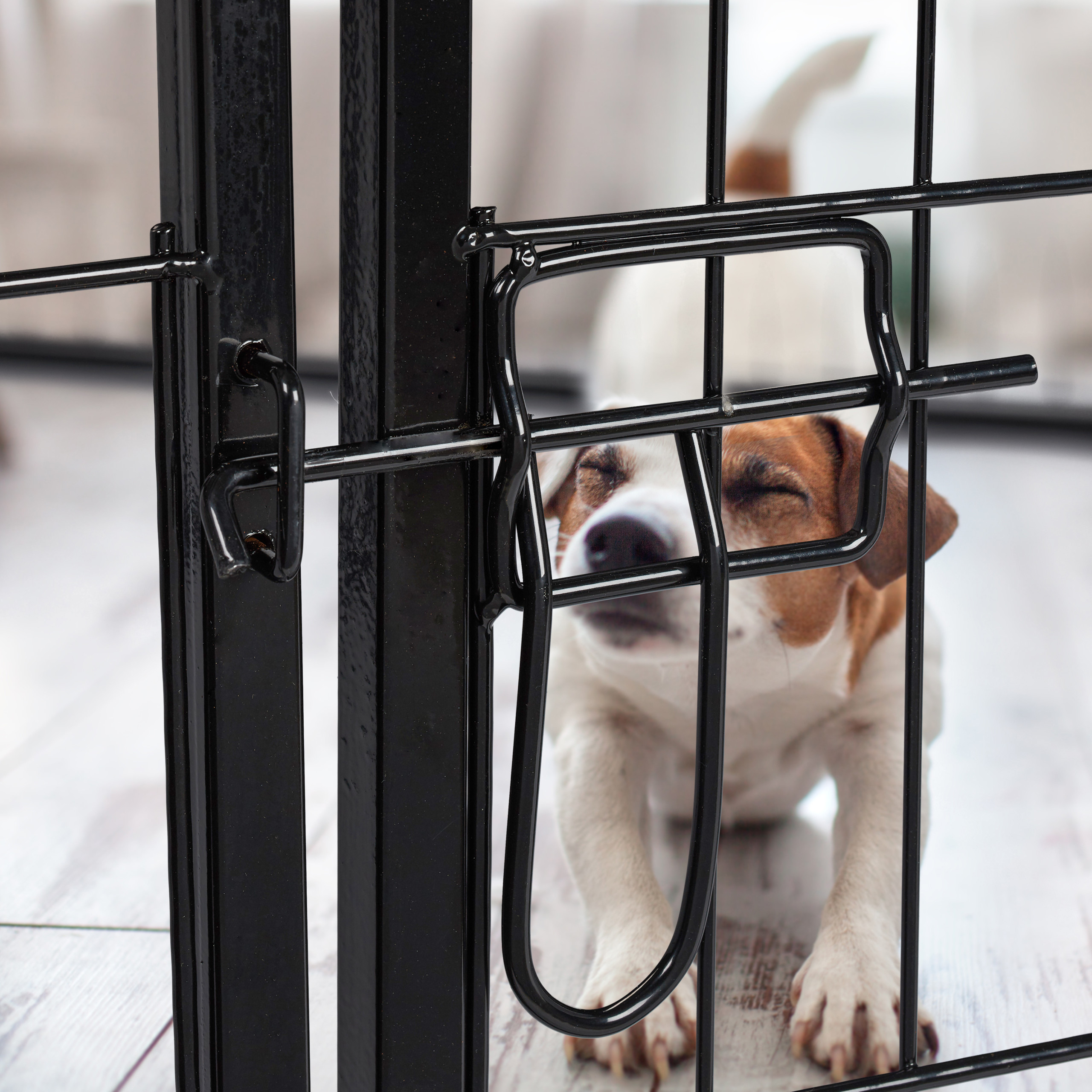 PUPPY SPOUT PUPPY enclosure outdoor enclosure Play Pen free range