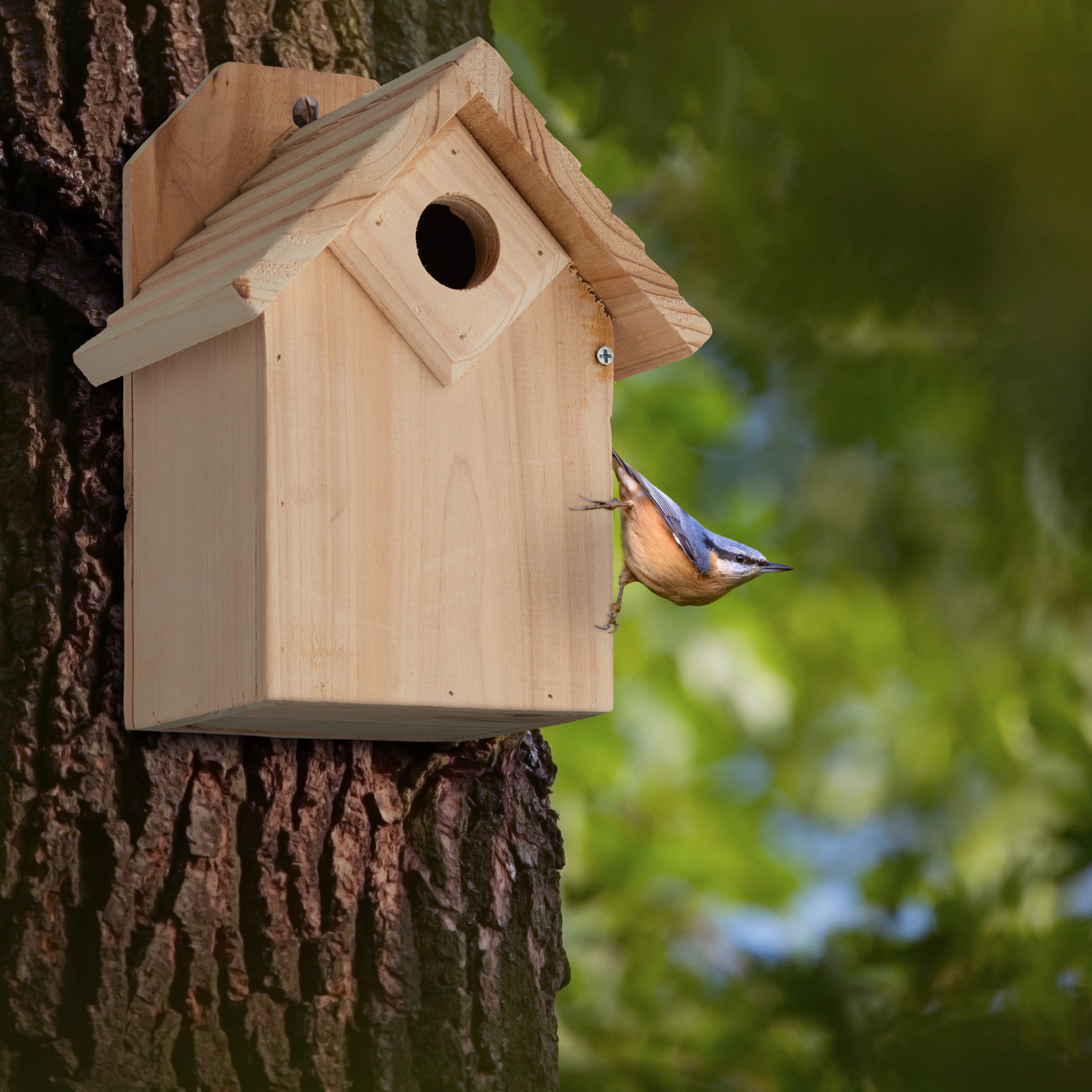 Casetta Per Uccellini Bungalow Cm 14 X H 16 | Leroy Merlin - Foto 5