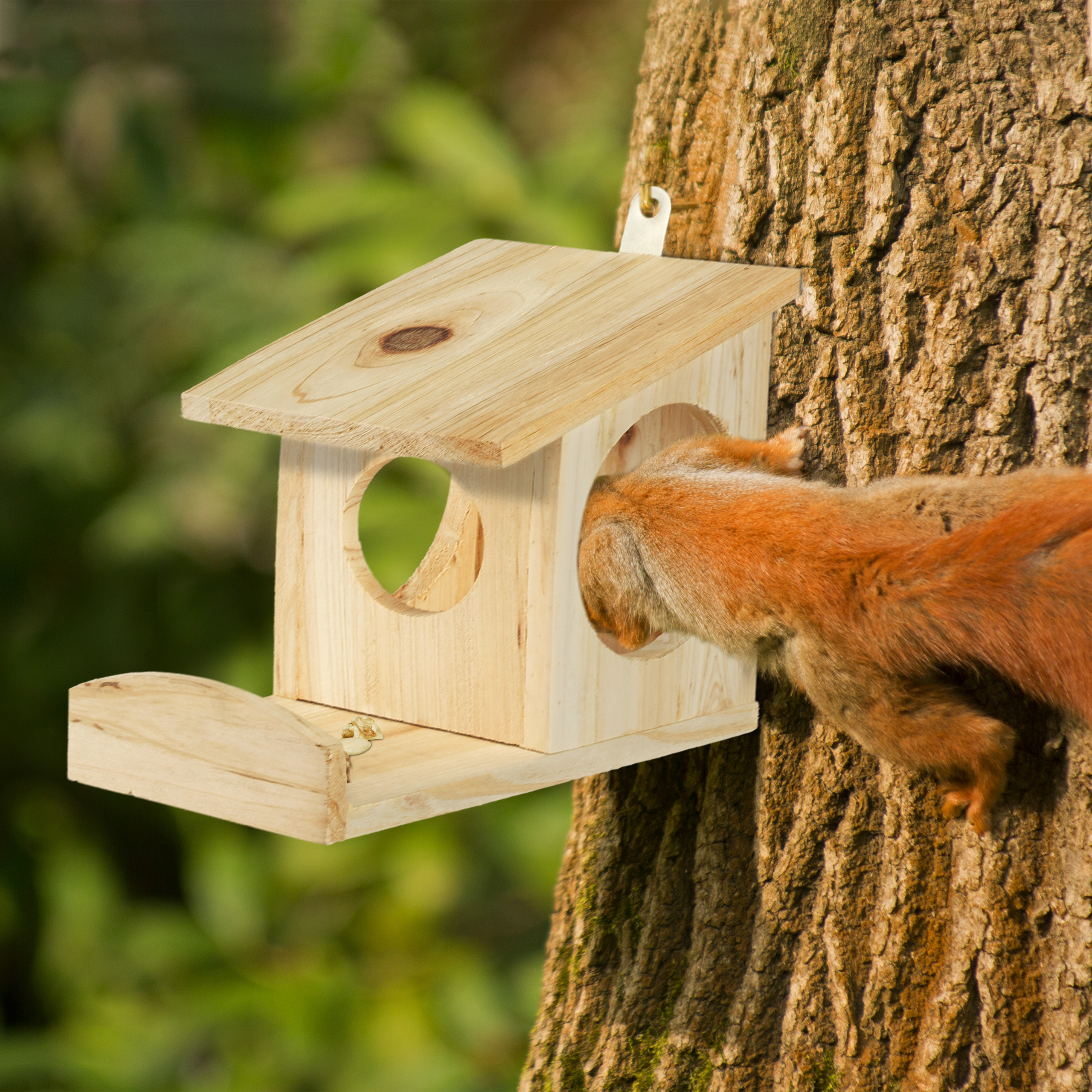 SQUIRREL FEED HOUSE Feeding Dispenser Nut Station Squirrel Food Box