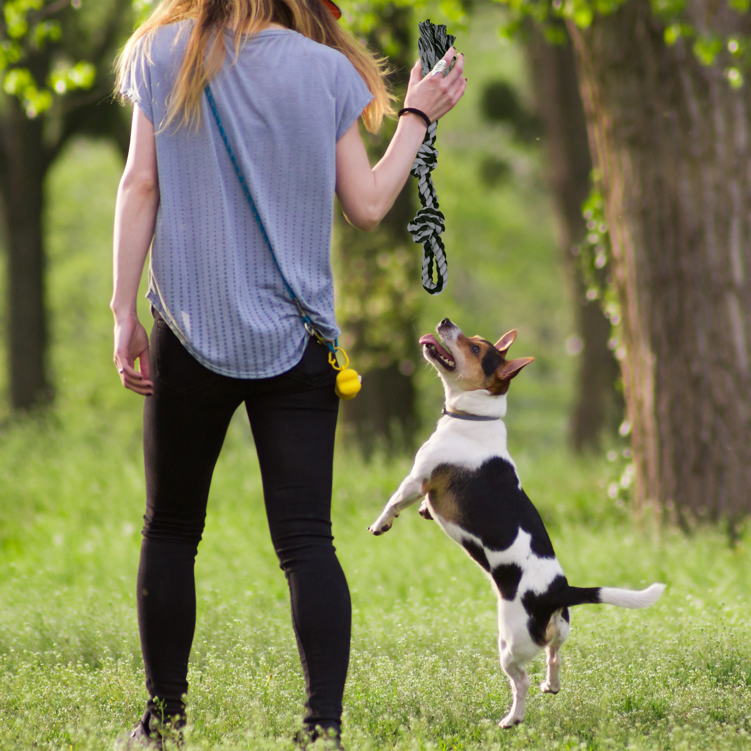 Hundespielzeug Seil, Zerrspielzeug Hunde Kauspielzeug Hundeseil