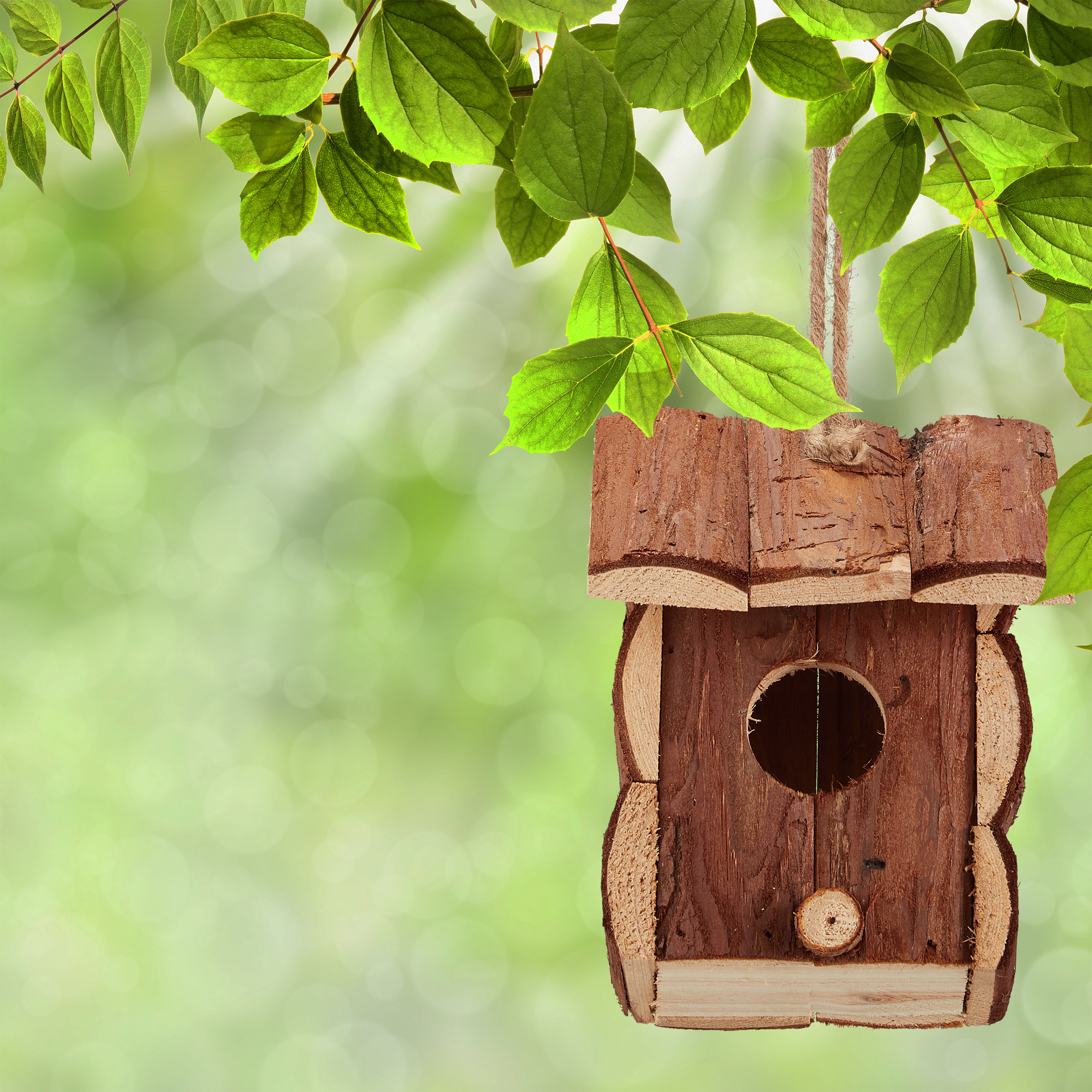 Miniatur Vogelhäuschen Holzhäuschen Mini Vogelhaus zum Hängen Deko Nistkasten