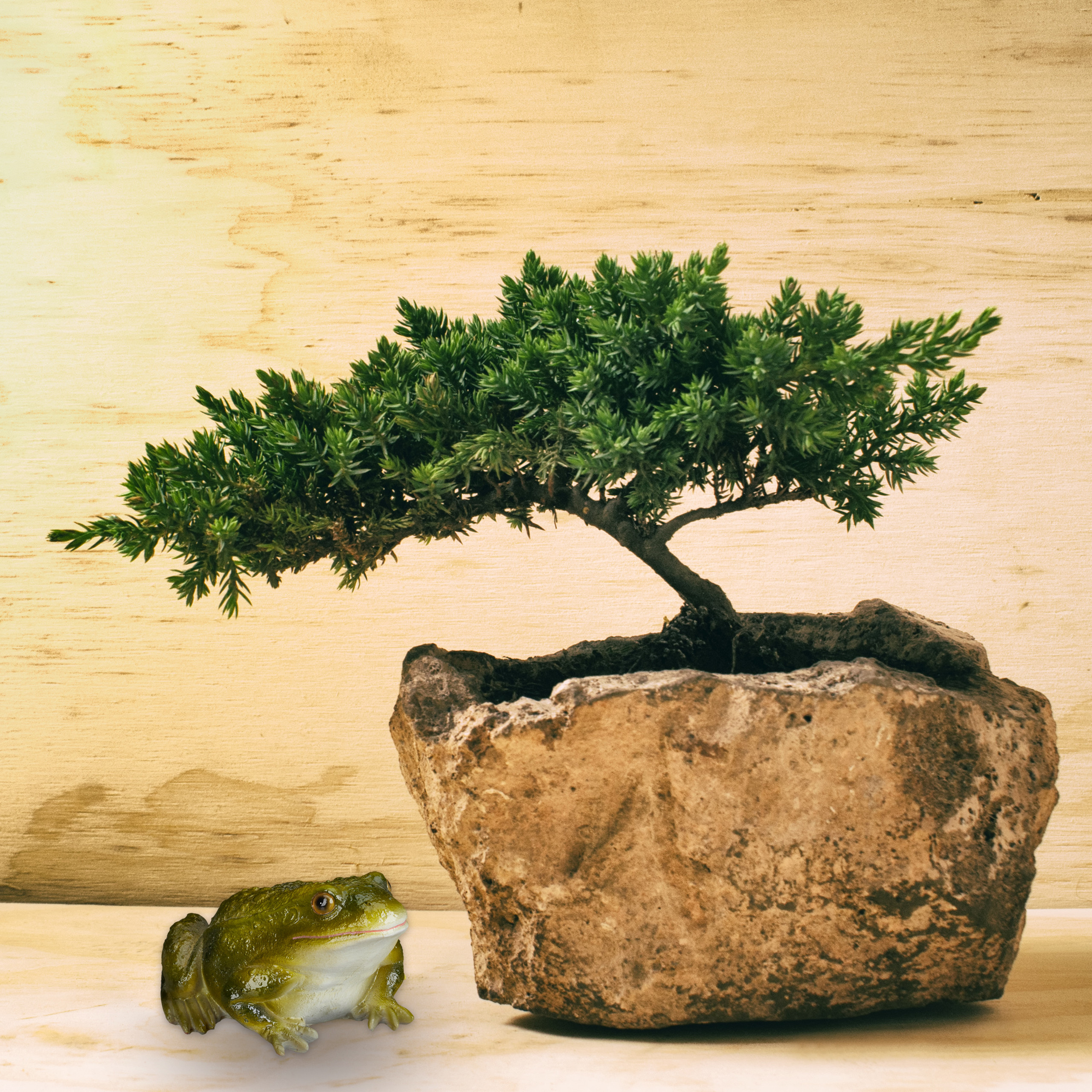 1 x Gartenfigur Frosch Figur Gartendeko Teichdeko Dekofrosch Fröschchen